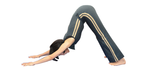2yoga